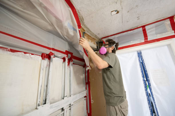 Best Commercial Mold Inspection  in Beulaville, NC